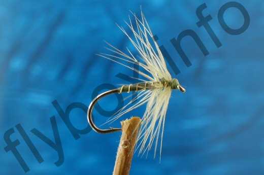 Fish4Flies Olive Spider